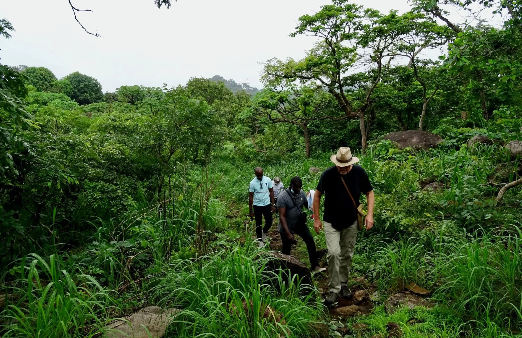 Hiking in the forest in Sierra Leone