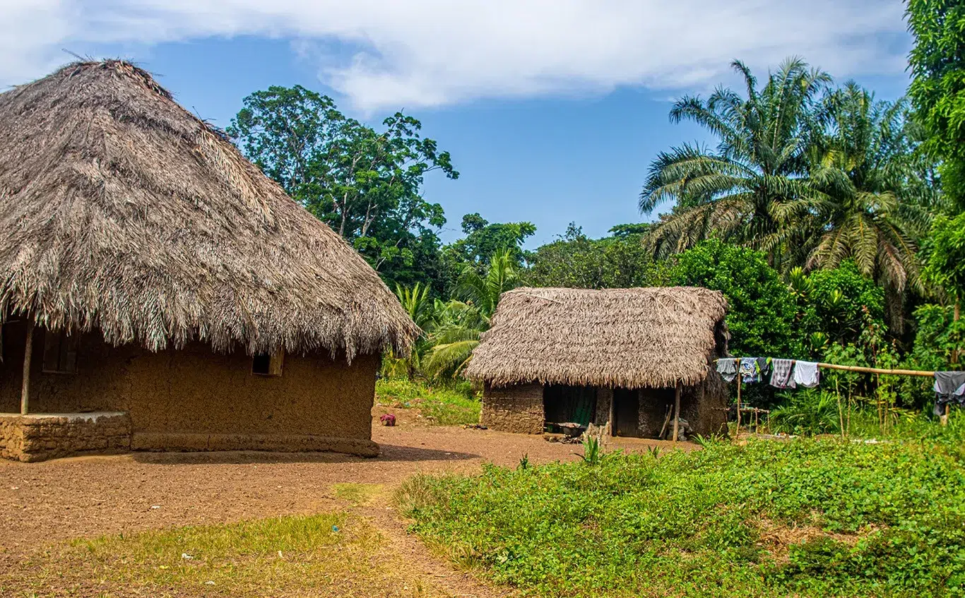 Lodges in Tiwai Island National Park Sierra Leone